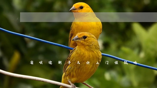 省呗逾期多久会上门催款吗 省呗逾期多久会上门催款吗