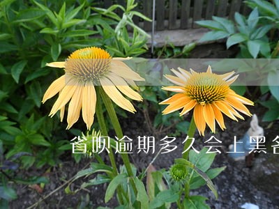 省呗逾期多久会上黑名单 省呗逾期多久会上黑名单