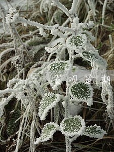 省呗逾期多久会催收 省呗逾期多久会催收