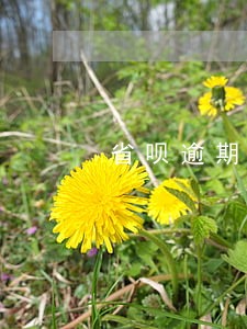 省呗逾期多久会消除 省呗逾期多久会消除