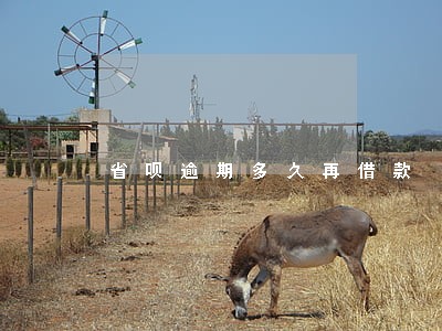 省呗逾期多久再借款 省呗逾期多久再借款
