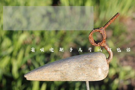 省呗逾期多久可以打电话 省呗逾期多久可以打电话