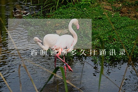 省呗逾期多久打通讯录 省呗逾期多久打通讯录