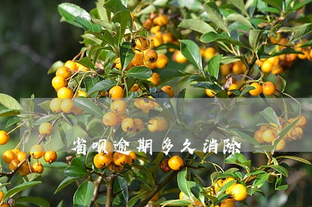 省呗逾期多久消除 省呗逾期多久消除