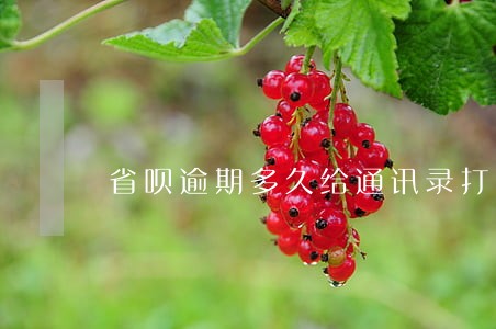 省呗逾期多久给通讯录打电话 省呗逾期多久给通讯录打电话