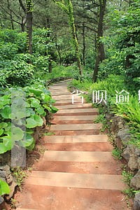 省呗逾期多久要求一次还清 省呗逾期多久要求一次还清