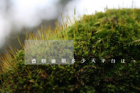省呗逾期多少天平台让一次还清 省呗逾期多少天平台让一次还清