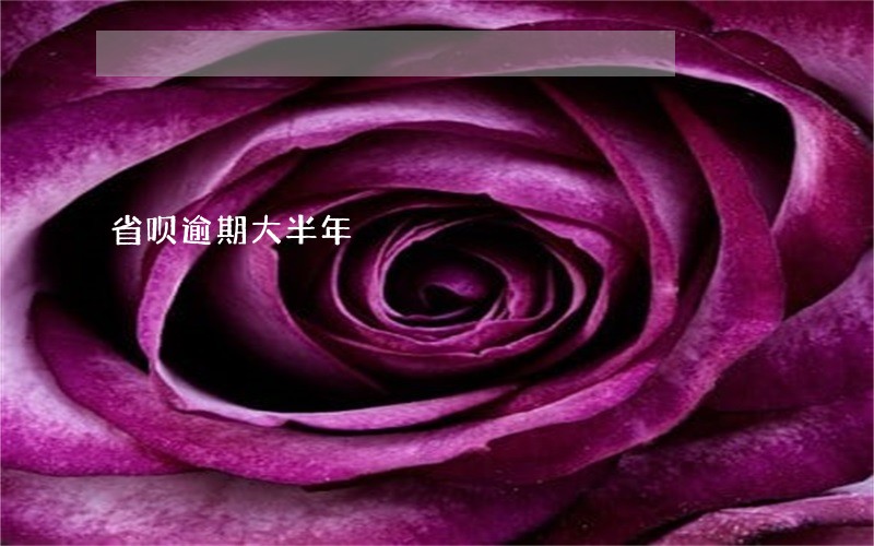 省呗逾期大半年 省呗逾期大半年