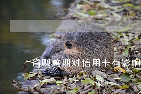 省呗逾期对信用卡有影响不 省呗逾期对信用卡有影响不