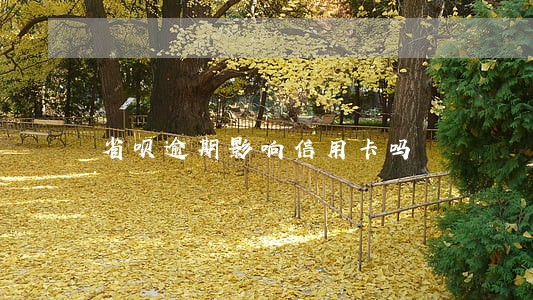 省呗逾期影响信用卡吗 省呗逾期影响信用卡吗