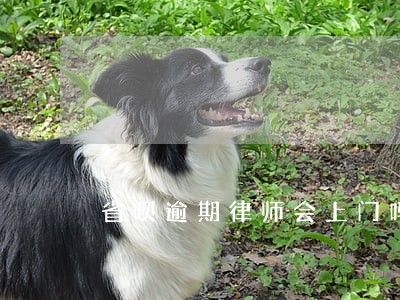 省呗逾期律师会上门吗 省呗逾期律师会上门吗