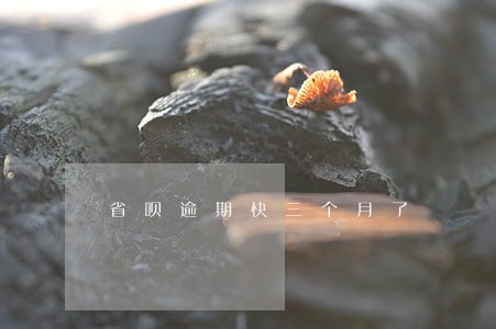 省呗逾期快三个月了 省呗逾期快三个月了
