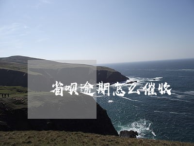 省呗逾期怎么催收 省呗逾期怎么催收