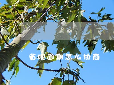 省呗逾期怎么协商 省呗逾期怎么协商