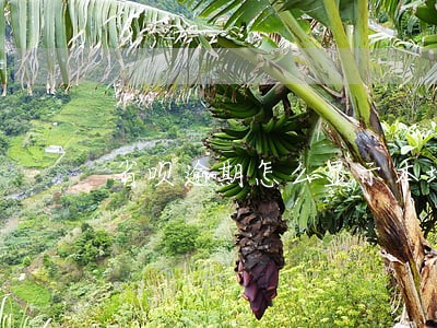 省呗逾期怎么显示本地电话号码 省呗逾期怎么显示本地电话号码