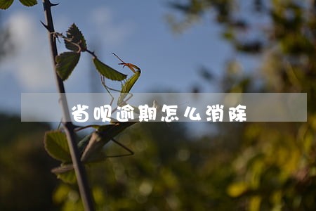 省呗逾期怎么消除 省呗逾期怎么消除