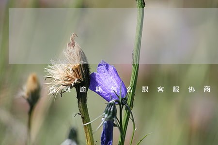 省呗逾期怎么跟客服协商分期 省呗逾期怎么跟客服协商分期