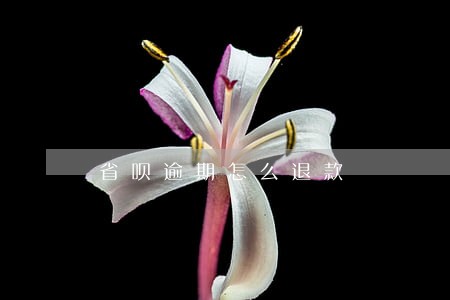 省呗逾期怎么退款 省呗逾期怎么退款
