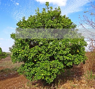 省呗逾期恶意催收欠款 省呗逾期恶意催收欠款