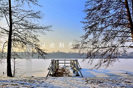 省呗逾期恶意催讨找谁投诉 省呗逾期恶意催讨找谁投诉