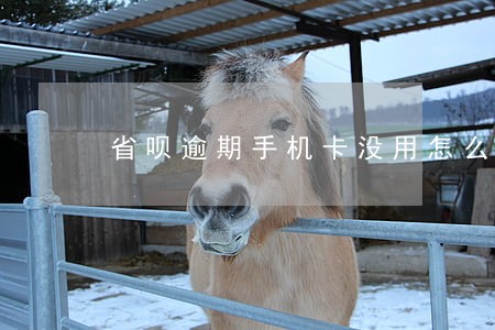 省呗逾期手机卡没用怎么登 省呗逾期手机卡没用怎么登