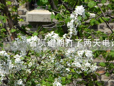 省呗逾期打了两天电话怎么不打了 省呗逾期打了两天电话怎么不打了