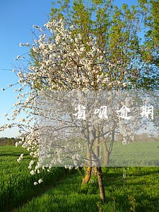 省呗逾期打我朋友电话怎么办 省呗逾期打我朋友电话怎么办