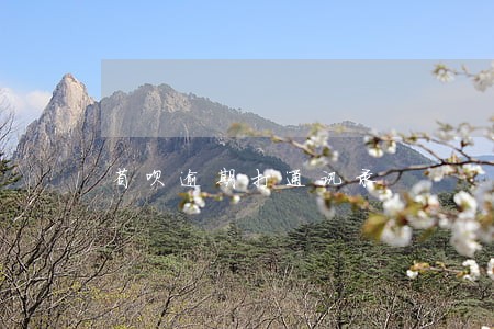 省呗逾期打通讯录 省呗逾期打通讯录