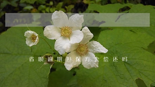 省呗逾期担保方会偿还吗 省呗逾期担保方会偿还吗