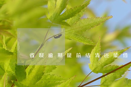 省呗逾期提前结清还能借嘛 省呗逾期提前结清还能借嘛