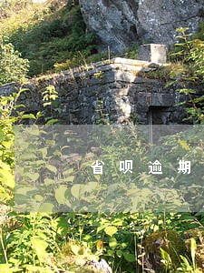 省呗逾期收到出访通知 省呗逾期收到出访通知