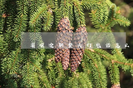 省呗逾期整天打电话怎么办 省呗逾期整天打电话怎么办