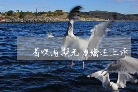 省呗逾期无力偿还上诉 省呗逾期无力偿还上诉