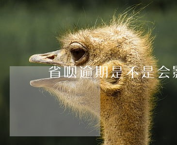 省呗逾期是不是会影响到花呗 省呗逾期是不是会影响到花呗