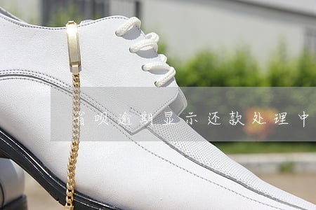省呗逾期显示还款处理中 省呗逾期显示还款处理中