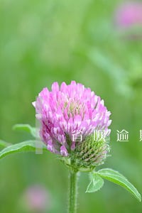 省呗逾期暴力催收什么时候下架 省呗逾期暴力催收什么时候下架