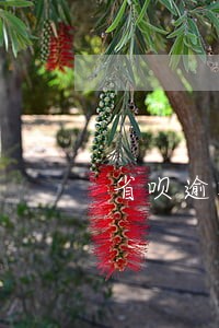 省呗逾期有协商还本金成功的吗 省呗逾期有协商还本金成功的吗