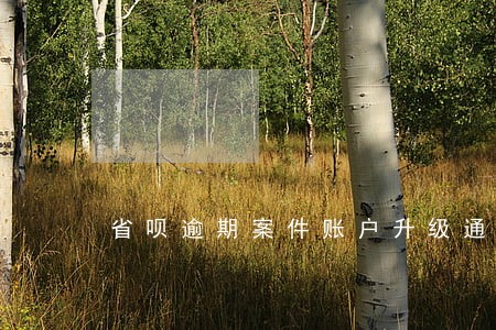 省呗逾期案件账户升级通知是什么 省呗逾期案件账户升级通知是什么