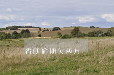 省呗逾期欠两万 省呗逾期欠两万