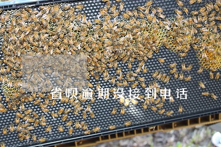 省呗逾期没接到电话 省呗逾期没接到电话