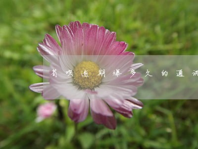 省呗逾期爆多久的通讯录 省呗逾期爆多久的通讯录