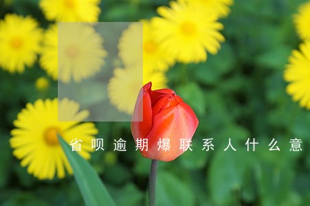 省呗逾期爆联系人什么意思 省呗逾期爆联系人什么意思