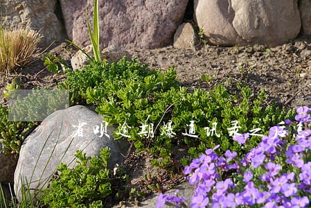 省呗逾期爆通讯录之后怎么处理的 省呗逾期爆通讯录之后怎么处理的