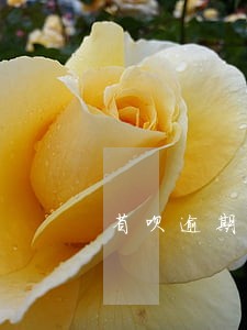 省呗逾期爆通讯录吗 省呗逾期爆通讯录吗