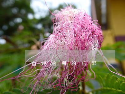 省呗逾期的后果 省呗逾期的后果