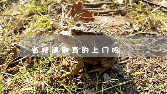 省呗逾期真的上门吗 省呗逾期真的上门吗