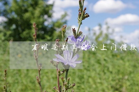 省呗逾期真的会上门催款吗 省呗逾期真的会上门催款吗
