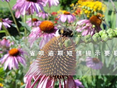 省呗逾期短信提示要联系单位 省呗逾期短信提示要联系单位