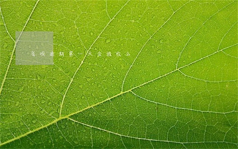 省呗逾期第一天会催收么 省呗逾期第一天会催收么