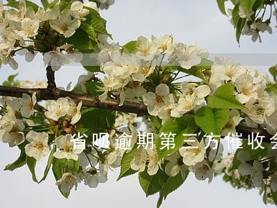 省呗逾期第三方催收会上门 省呗逾期第三方催收会上门